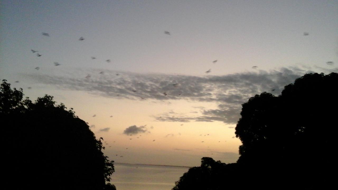 Sharook Riviera Grand Lodge Wete Bagian luar foto